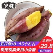 TOP1 天目山网红小香薯*5斤 券后￥19.8