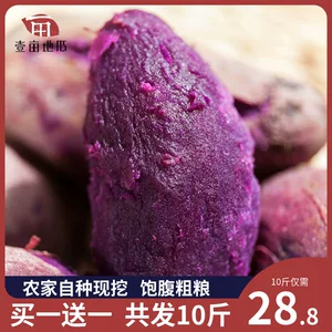 壹亩地瓜 现挖粉糯紫薯 10斤 低卡减肥主食