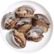 鲜活鲍鱼 500g 10-12头 海鲜水产 烧烤食材