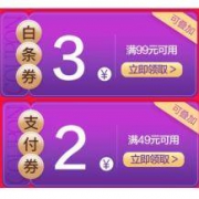 京东 白条优惠券/支付券