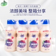 椰汁岛 胃动力乳酸菌饮品338ml*12瓶