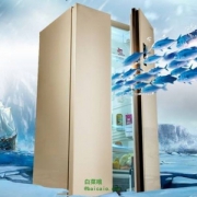 MeiLing 美菱 BCD-650WPCX 650升 变频风冷对开门冰箱