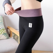 ￥49 280棉兔毛绒撞色纯棉打底裤
