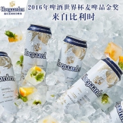 比利时国酒 福佳 白啤酒 500ml*24罐