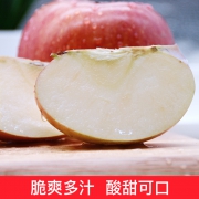 阿克苏红旗坡七队产！8斤 红宝利 新疆阿克苏苹果