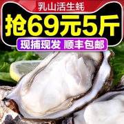 天海藏 乳山野生带壳鲜活生蚝 新鲜海蛎子5斤*2斤