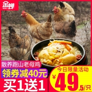 缘琳山 农家散养500天 金蝉老母鸡 2.3斤*2只 79元包邮 送汤料包