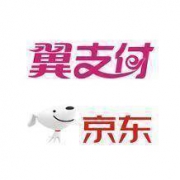 优惠券：翼支付 满30-3元京东代金券