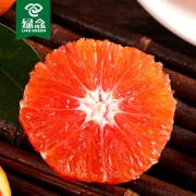 第二件1元~新鲜秭归红肉脐橙5斤