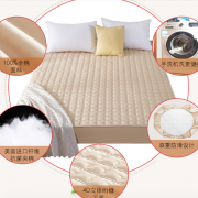 【白菜价】 纯棉床笠单件全棉床垫套防滑席梦思保护套