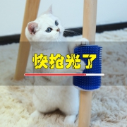 宠相随 猫咪墙角按摩刷 蹭毛器