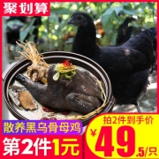 缘琳山 大别山散养 金蝉乌骨鸡 2斤/只 拍2件79元包邮 合39.5元/只