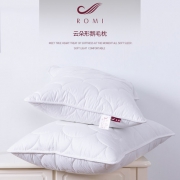 希尔顿酒店床品供应商 柔眠家纺白鹅毛羽绒枕头 2只