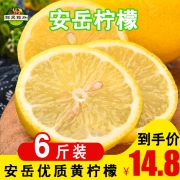 6斤装新鲜现摘安岳现摘柠檬 券后￥14.8