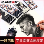 Transon 中盛 软炭笔 5mm芯 8支/盒  鹤鸣/潮升