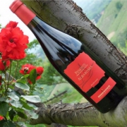 Marenco Piemonte Albarossa 玛伦可 阿巴罗莎干红葡萄酒 750ml *2件 157元包邮