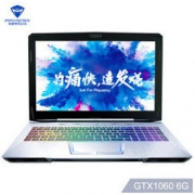 MACHENIKE 机械师 F117-S6Cs 15.6英寸窄边框游戏本电脑（i7-8750H 16GB 256GB+1T 1060 6G） 7999元包邮