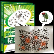 强力粘蝇纸40片+2包苍蝇药