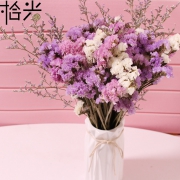 永不凋谢！云南 拾光花坊满天星+勿忘我天然干花花束