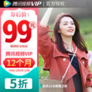 腾讯视频 VIP会员 12个月