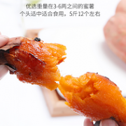 红心率95%：公社联盟 山东糖心蜜薯 5斤