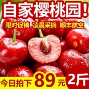 预售首发烟台大樱桃现摘现发2斤顺丰航空 券后￥89