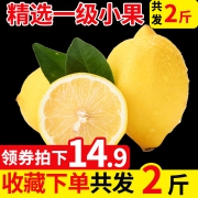 含含 四川安岳黄柠檬2斤装 券后￥9.9