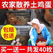 群农百家 农家鸡蛋 40枚