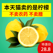 HTO 安岳黄柠檬 一级特大果 单果200g-380g 5斤