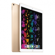 苹果（Apple） iPad Pro 12.9英寸 平板电脑 金色 WLAN 512G 6688元