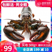 10点开始，WECOOK 味库 鲜活加拿大龙虾 450~550g 1只