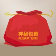 飞跃 神秘包裹 随机款式飞跃鞋 两双