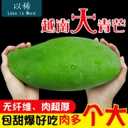比脸还大！以稀 越南大青芒 净重8斤