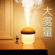 颜值炒鸡高！ 小蘑菇夜灯迷你加湿器 券后￥49