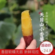 天目山现挖紫皮黄心小香薯 5斤 19.8元包邮（需用券）