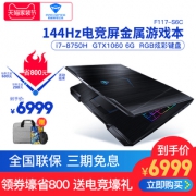MACHENIKE 机械师 F117-S6C 15.6英寸 游戏本（i7-8750H、8GB、240GB、GTX 1060 6GB）