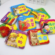 《宝宝撕不烂早教书》全10册