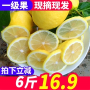 罗克珊 四川安岳一级黄柠檬 6斤