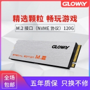 GLOWAY 光威 骁将系列 M.2 NVME 固态硬盘 120GB