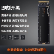 WD 西部数据 Black系列 SN750 M.2 NVMe 固态硬盘 500GB