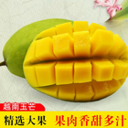 皮薄核小肉甜：越南 大青芒果  3斤