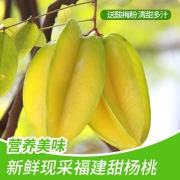 现摘现发，果识 5A大果 新鲜杨桃 5斤