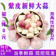 笨果鲜生 新鲜紫皮大蒜头 5斤 16.8元包邮（拍2件）
