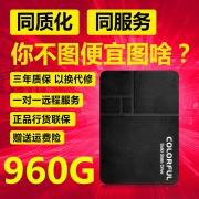 COLORFUL 七彩虹 SL500 SATA3 固态硬盘 960GB