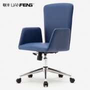 联丰（LIANFENG） DS-173A 电脑椅 白色 +凑单品 90.3元