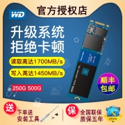 Western Digital 西部数据 Blue系列 SN500 NVMe M.2 SSD固态硬盘 250GB