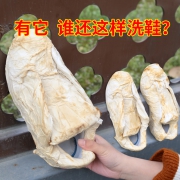 能臣 小白鞋擦鞋神器2瓶 券后￥5.9