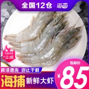 海画旗舰店 鲜活海捕大虾1500g 券后￥85