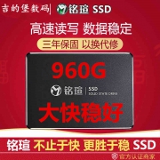 MAXSUN 铭瑄 终结者 MS 960GB X5 固态硬盘