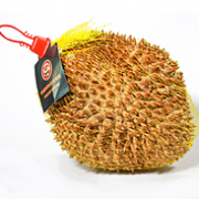 泰国进口，金枕冷冻整榴莲 1个 约1.5-2.0kg